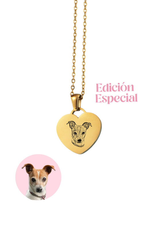 Collar Gran Amor Corazón. Placa con imagen de cara de mascota, estilo realista. Edición Especial💖