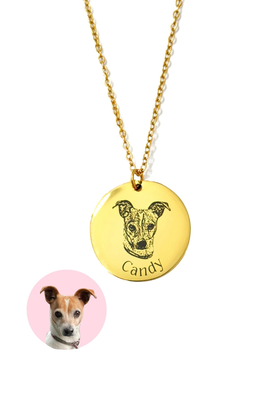 Collar Gran Amor 2.0 Placa con imagen de mascota, estilo realista