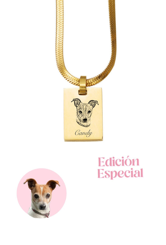 Collar Gran Amor Elegante. Placa con imagen de cara de mascota, estilo realista.